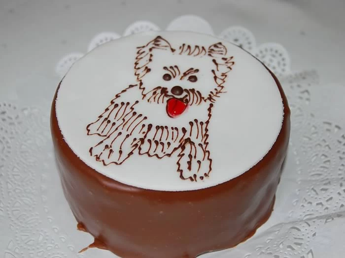 Pfaffl Anlass-Tortenkreation Pfaffl Anlass-Tortenkreation